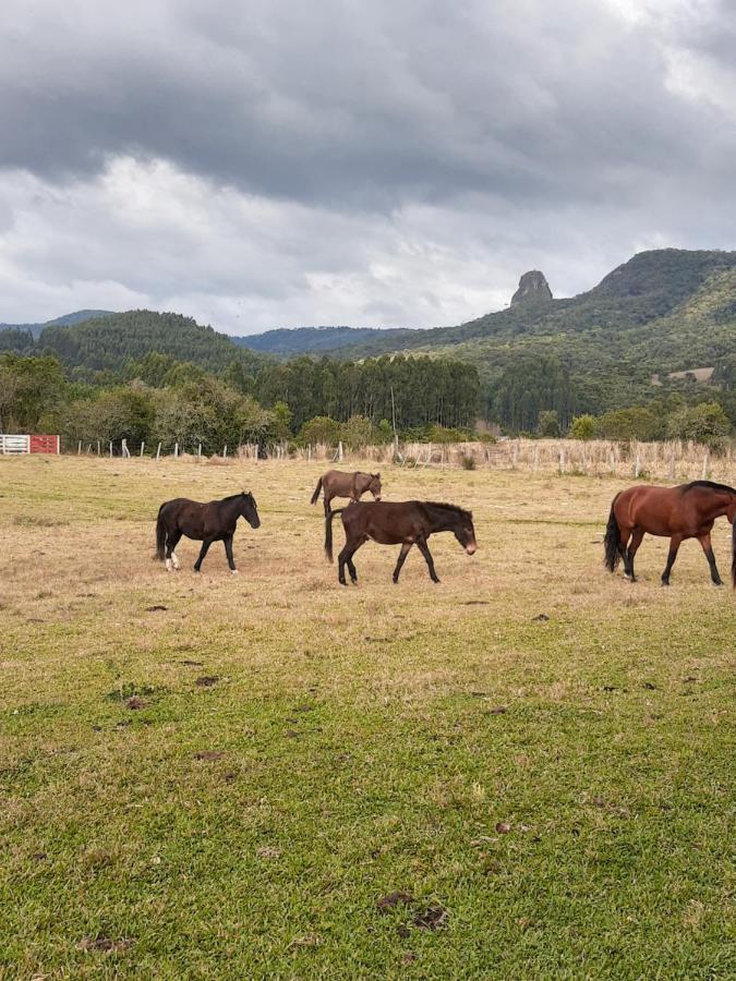 فيلا Rio Rufinoفي Fazenda Tamandua Casa De Campo - Cabana Coragem المظهر الخارجي الصورة