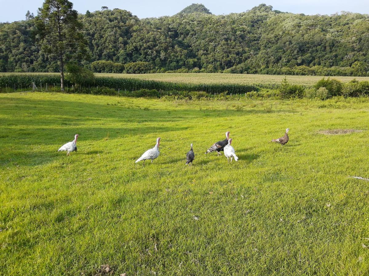 فيلا Rio Rufinoفي Fazenda Tamandua Casa De Campo - Cabana Coragem المظهر الخارجي الصورة